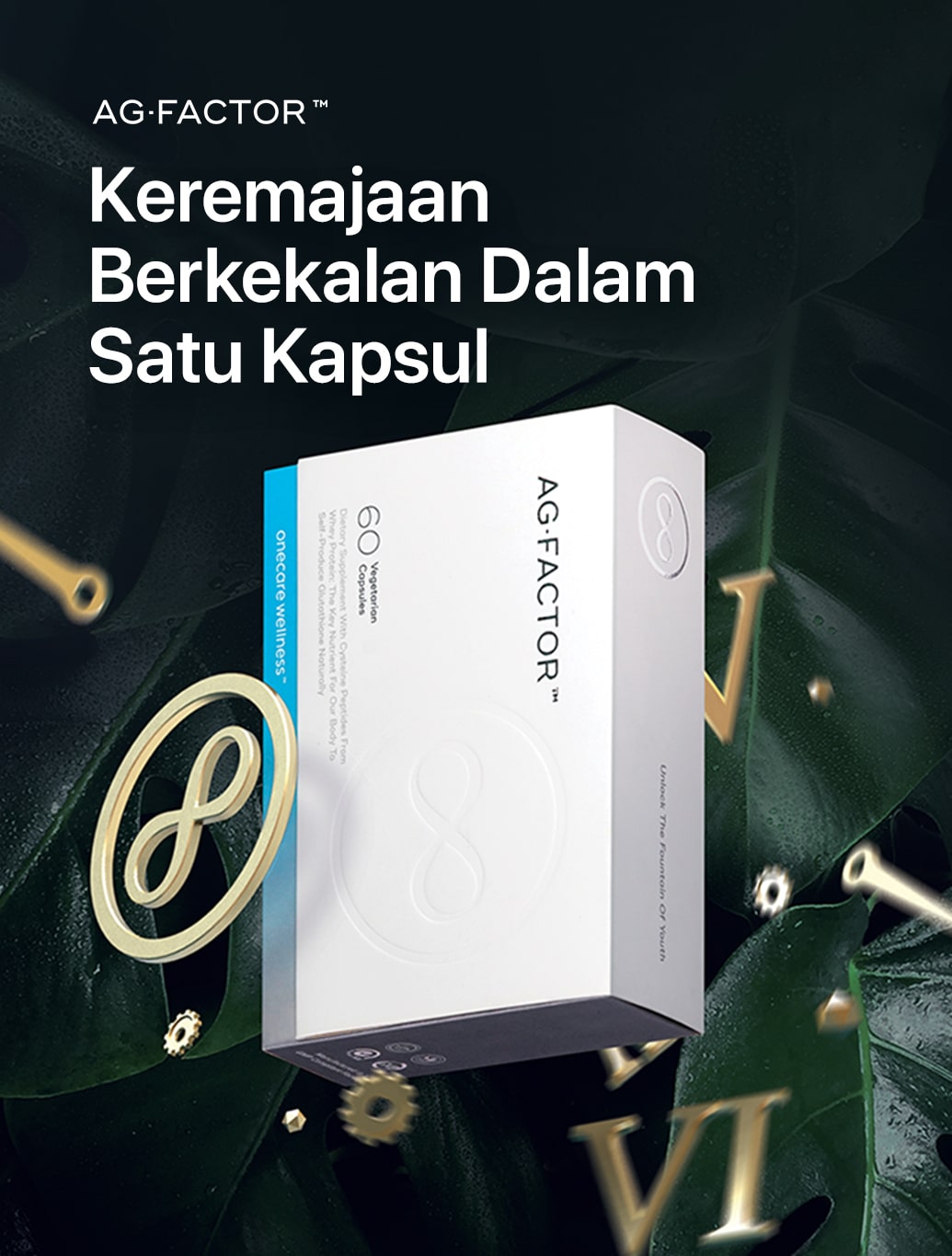 Ketahui agfactor