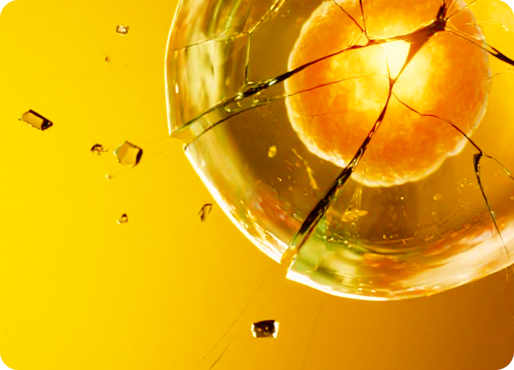 Superfit cracked cell card